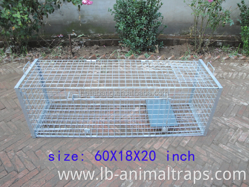 Liebang Humane Hunting Live Animal Cage Traps For Large Pest Animals Animal Control Fox Wildboar Cage Trap